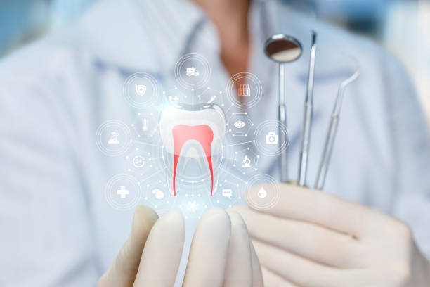 Professional Holistic Dental Care Services in North Caldwell, NJ